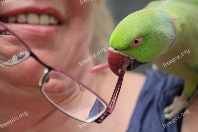 Woman Parrot Glasses Cheeky Bill