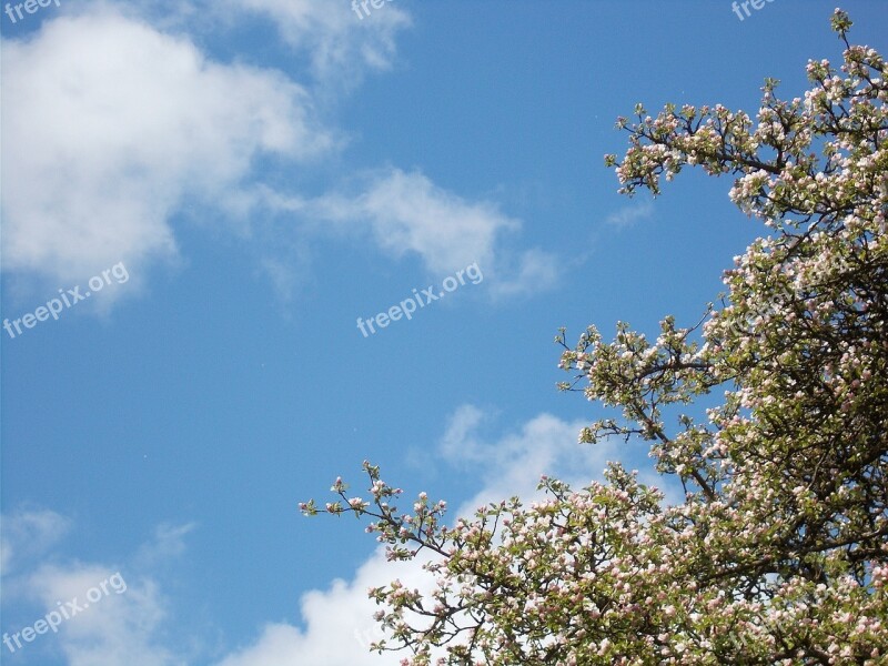 Sky Clouds Clouds Form The Sky Blue