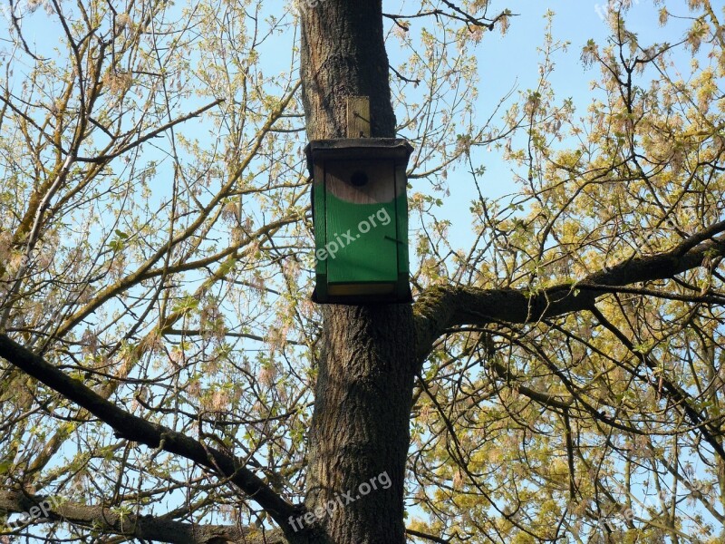 Aviary Nest Nesting Place Hatchery Bird Feeder