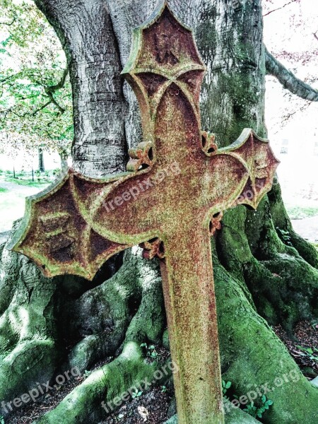 Cross Cemetery Tree Old Cemetery Free Photos