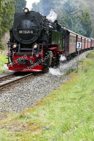 Narrow Gauge Harzquerbahn Nature Forest Steam