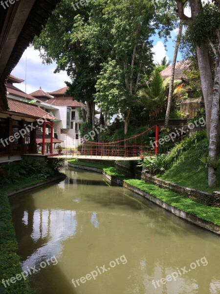 Bridge River Bali Ubud Travel