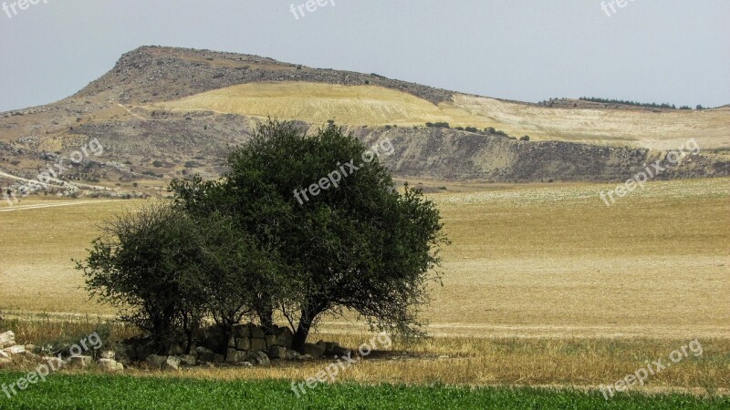 Cyprus Kelia Landscape Trees Fields