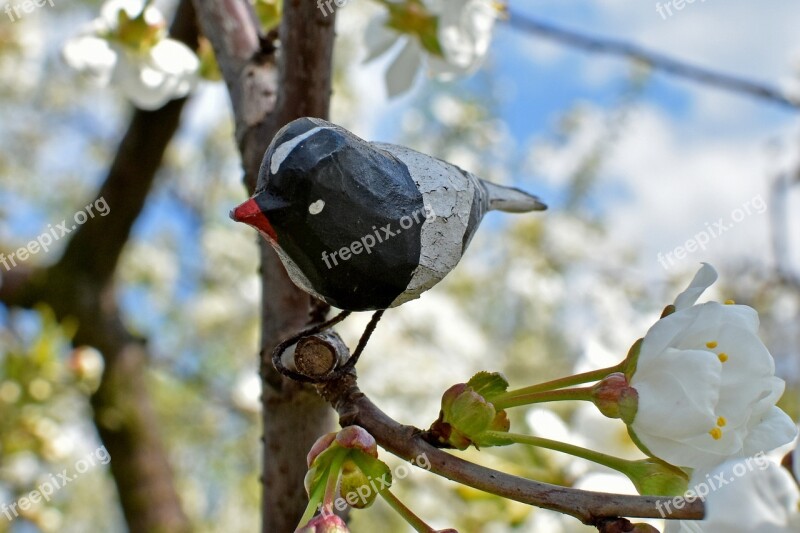 Bird Artificial Spring Nature Flowers