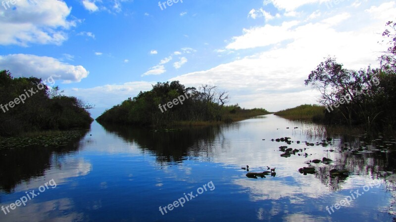 Everglades Miami Landscape Sky Swamp