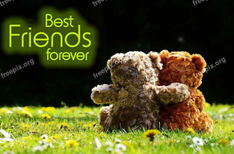 Teddy Love Romantic Affection Bears