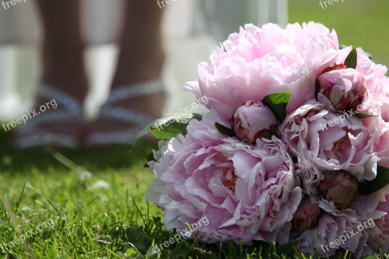 Wedding Wedding Bouquet Peony Close Up Romantic