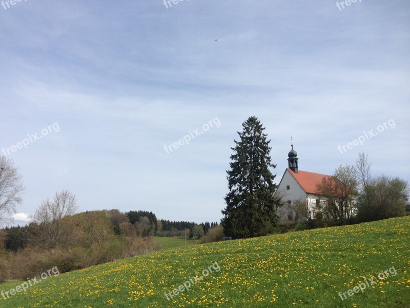 Meadow Fridingen Chapel Tree Fir Tree