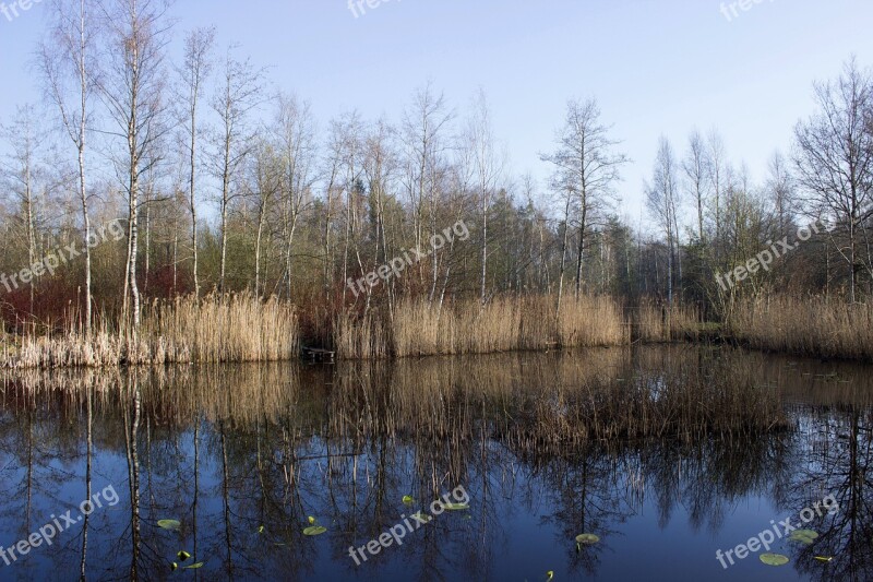 Riedsee Waters Mirroring Water Pond