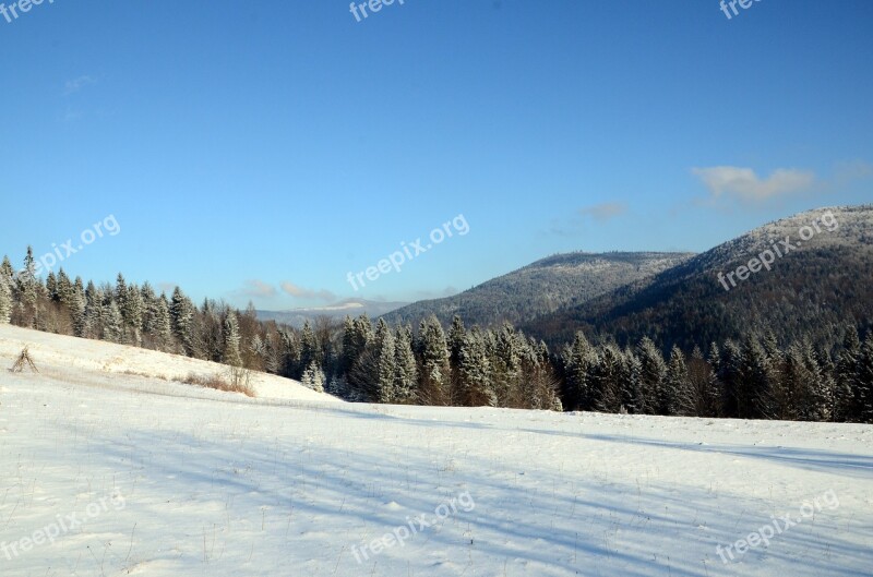 Winter Mountains Snow Forest Winter In The Mountains