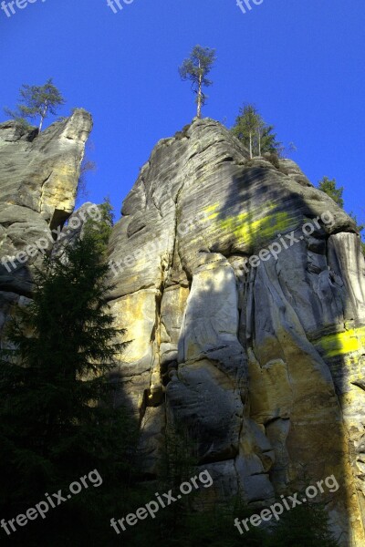 Rocks Nature Tree The Sky Adršpach