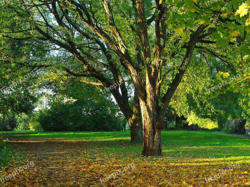 Lille Park The Gate Acacia Fall