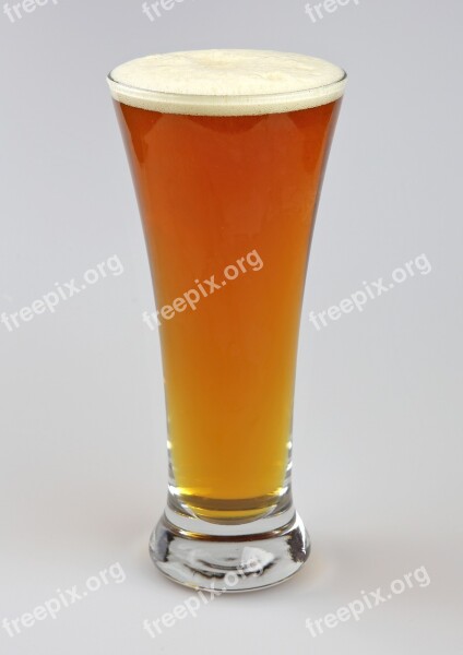 Beer Brew Craft Free Photos