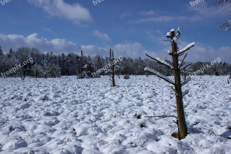 Wurzacher Ried Nature Reserve Moor Lan Moorland