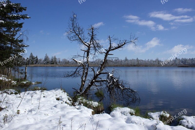 Riedsee Moor Wurzacher Ried Waters Nature Reserve