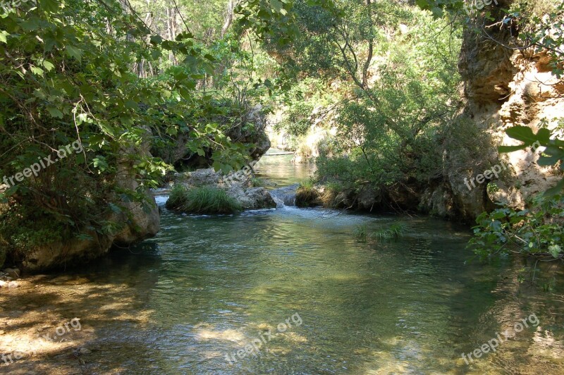 Nature Water Spring River Tree