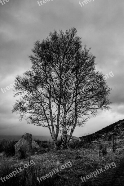 Scotland Water Lake Trees Nature