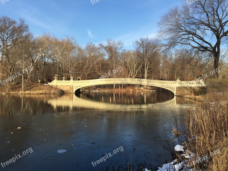 Bridge Lake Tree Park New York