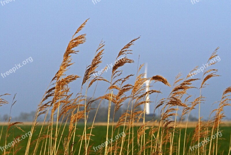 East Frisia Flat Land Wedel Wind Power Reed