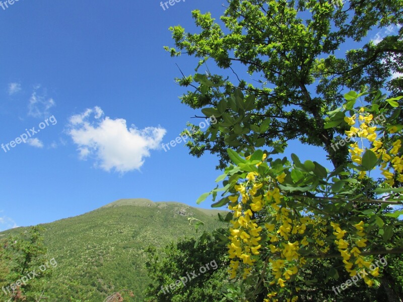 Prato Nature Spring Spring Flowers Free Photos