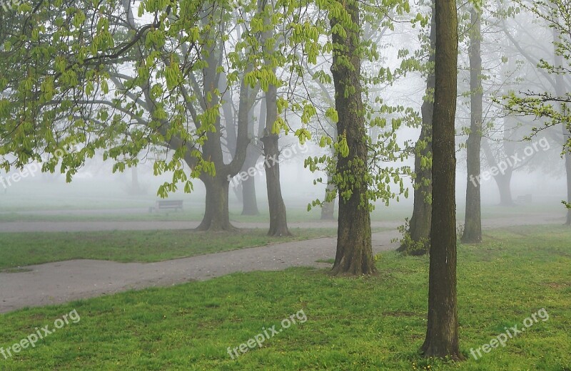 Landscape View Nature Park Plants