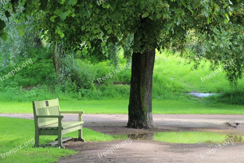 Park Bench Park Rest Trees Finland