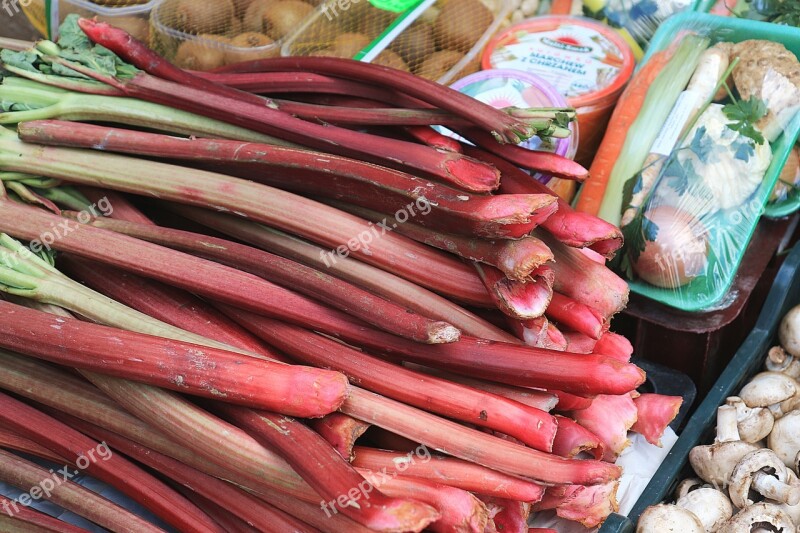 Spring Rhubarb Market Fruit Vegetables