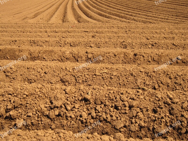 Field Arable Furrow Agriculture Nature