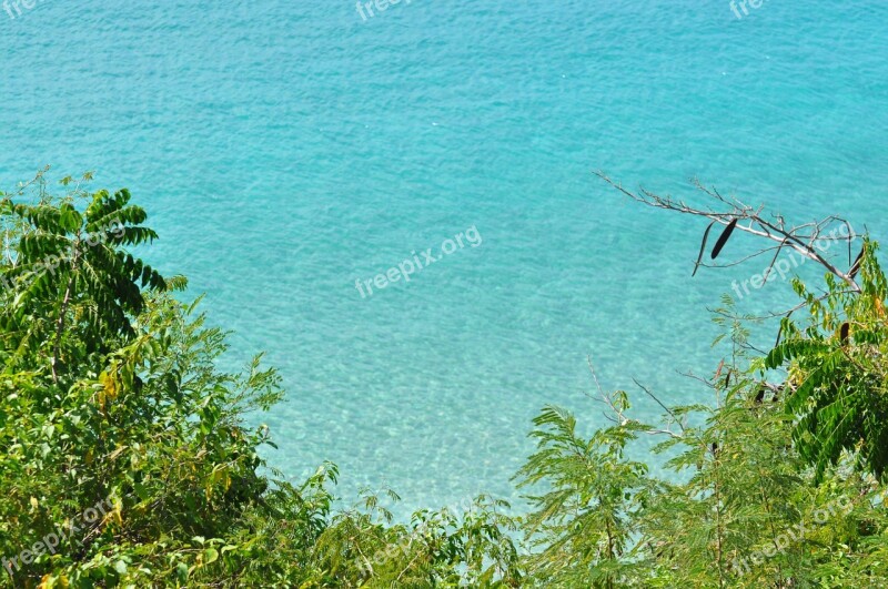 Turquoise Water Puerto Rico Palms Sea