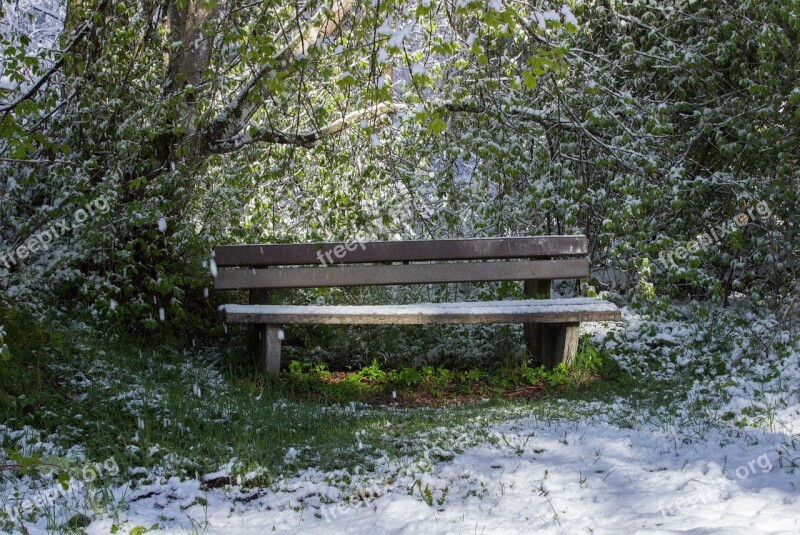 Spring Snow Nature Bank Green