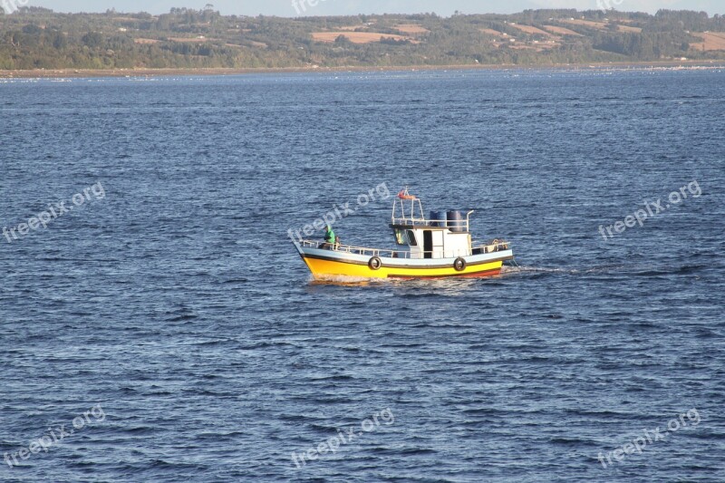 Boat Artisanal Fisheries Southern Chile Free Photos