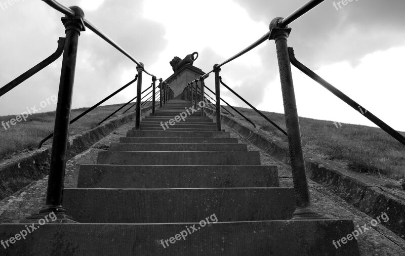 Black And White Waterloo Belgium Lion Free Photos