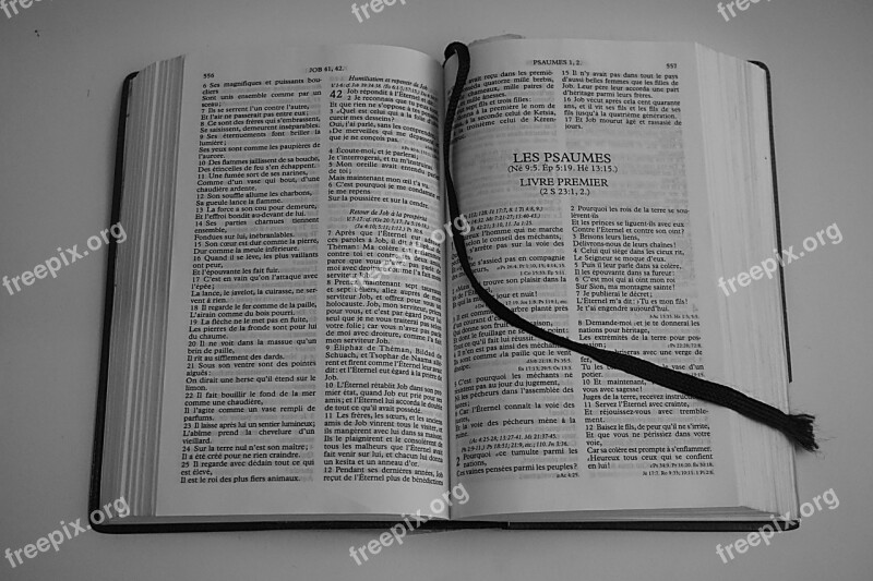 Bible Religion Reading Bible Morals Faith