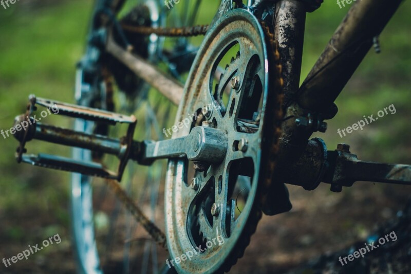 Bike Antique Retro Bicycle Vintage