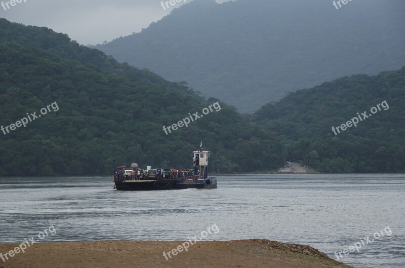 Ferry Mar Nature Forest Vegetation