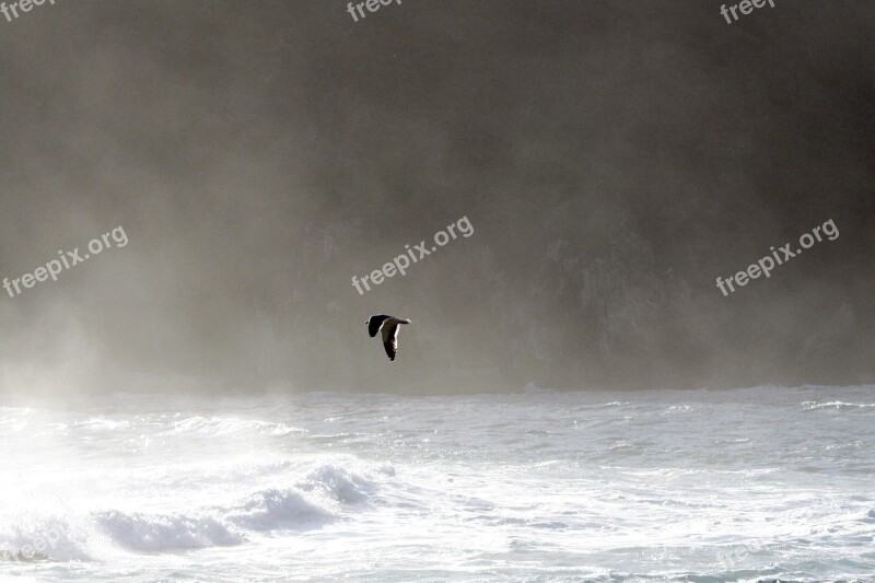 South Africa Kynsna Heads Seascape Sea Water