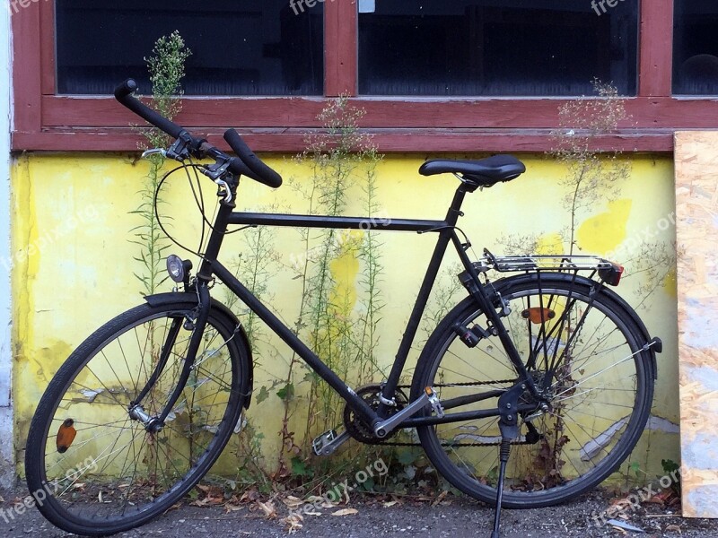 Bike Backyard Bicycles Yellow Vintage