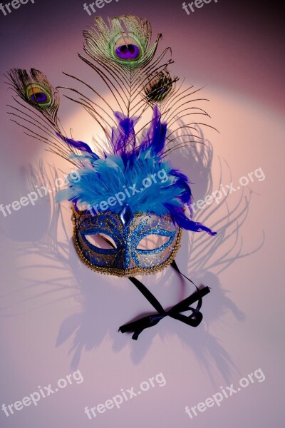 Venetian Mask Peacock Features Blue Pink