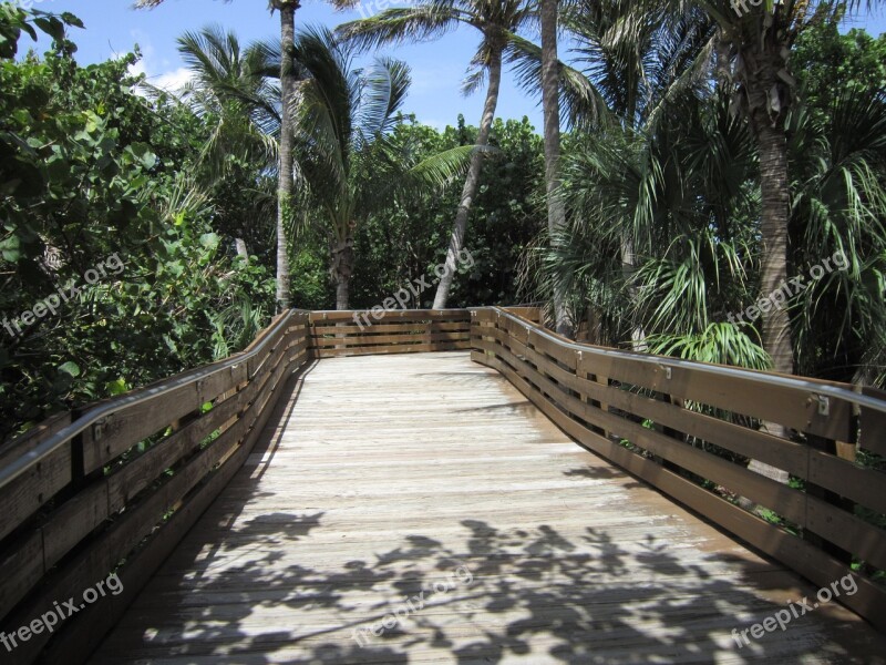 West Palm Beach Bridge Florida Palm Travel