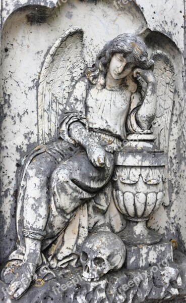 Portugal évora Cemetery Angel Grave