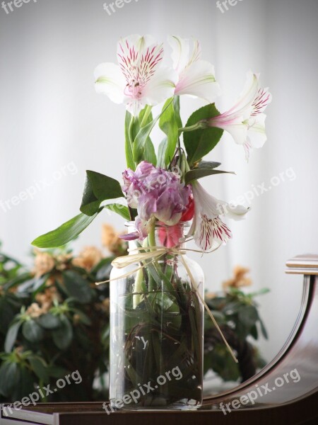 Flowers Vase Desktop Bodegones Still Life