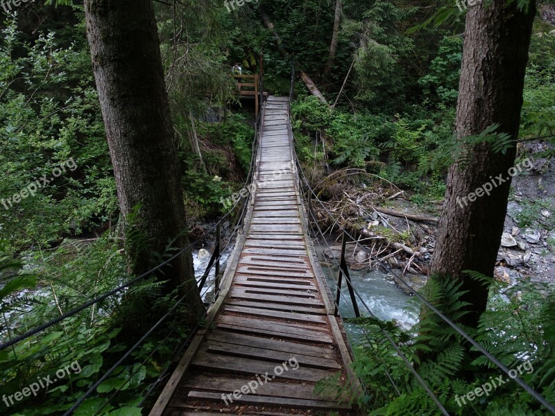 Suspension Bridge Forest Bach Free Photos