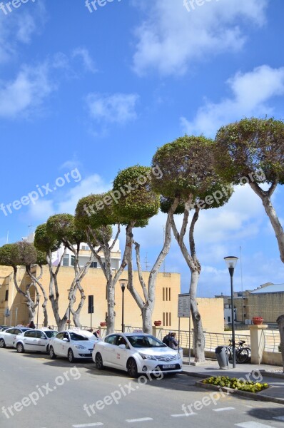 Malta Spring Gozo Free Photos