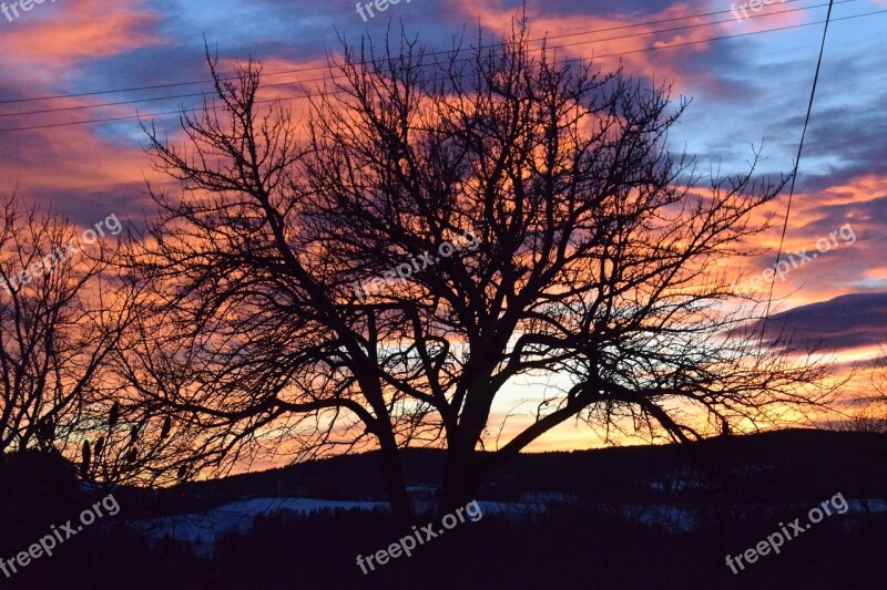 Winter Sunset Slovenia Sky Tree Of Life