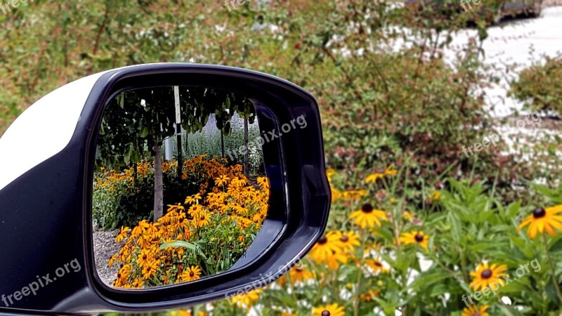 Mirror Looking Back In Mirror Back Mirror Car Mirror Spring