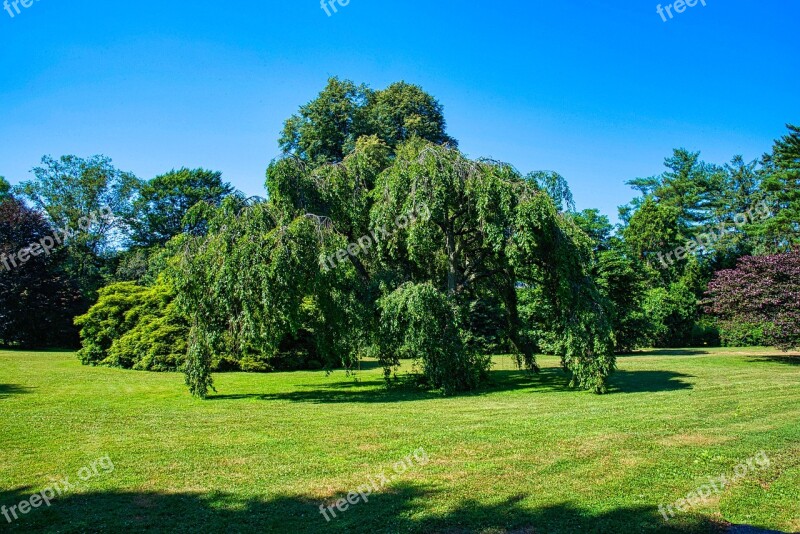 Planting Field Exotic Tree Nature Landscape Free Photos