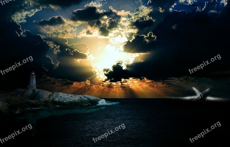 Humpback Whale Lighthouse Clouds Sea