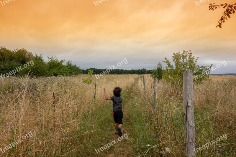 Landscape Field Meadows Sunset Nature