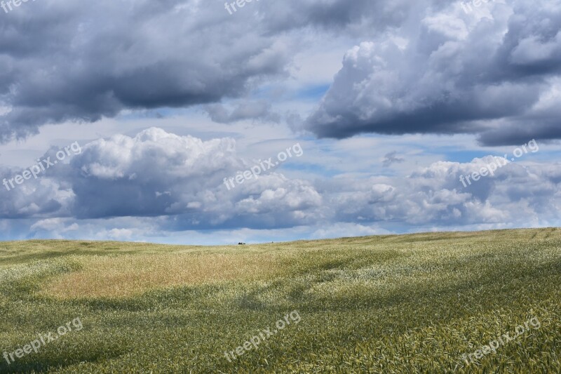 Field Landscape Clouds Corn Village