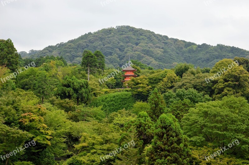 Kyoto Japan Temple Japanese Asia